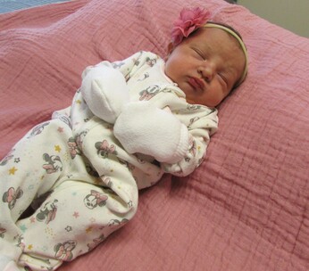 Harlowe Lynn Baby Picture