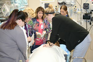 A couple different nurses are standing around a patient while one is doing CPR in a emergency room.