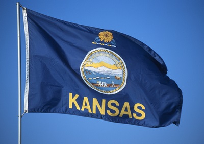 This is a picture of the Kansas State flag