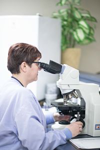 A lab technician is looking at samples through a microscope